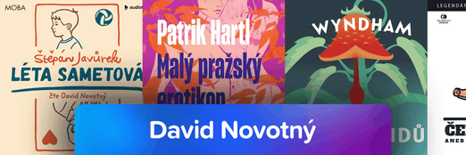 David Novotný