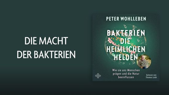 Peter Wohlleben über das Reich der Bakterien