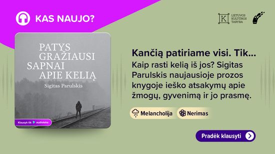 Naujiena. PATYS GRAŽIAUSI SAPNAI APIE KELIĄ