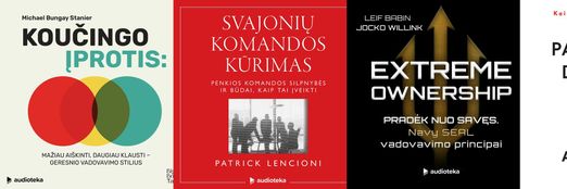 Rekomendacijos darbui su komanda