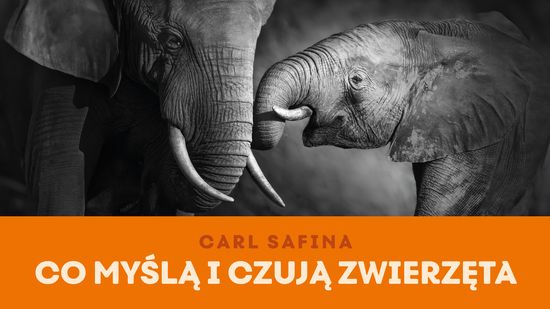 Co myślą i czują zwierzęta