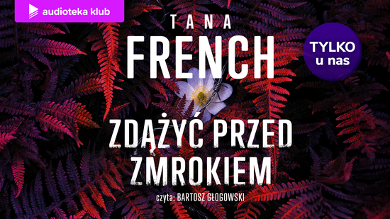 Zdążyć przed zmrokiem. Zbrodnie Dublina. Tom 1