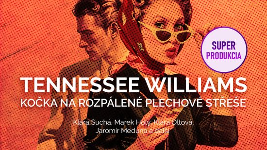 Audiokniha Kočka na rozpálené plechové střeše