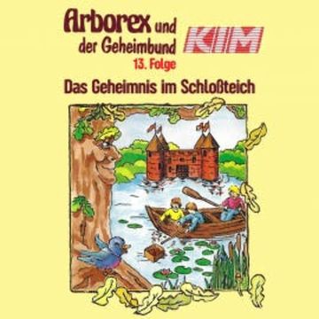 13: Das Geheimnis im Schloßteich audiobook, Erika Immen