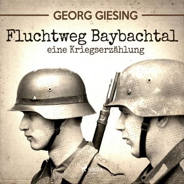 Fluchtweg Baybachtal - Eine Kriegserzaehlung audiobook, Georg Giesing