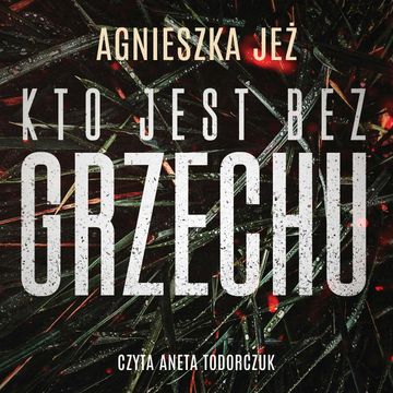 Kto jest bez grzechu audiobook, Agnieszka Jeż
