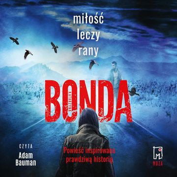Miłość leczy rany. Tom 1. audiobook, Katarzyna Bonda