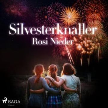 Silvesterknaller - Vulkanausbruch in der Eifel 2010/11 (Ungekürzt) audiobook, Rosi Nieder