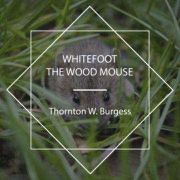Whitefoot the Wood Mouse audiobook, Thornton W. Burgess