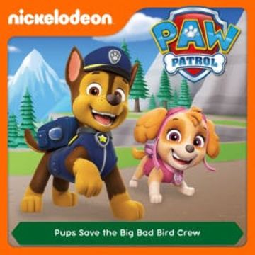Episode 46: Pups Save the Big Bad Bird Crew audiobook, N.N.