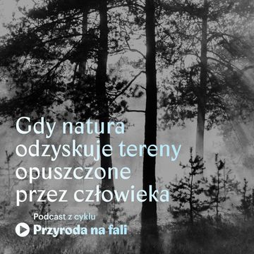 Gdy natura odzyskuje tereny opuszczone przez człowieka audiobook, Międzynarodowe Centrum Kultury