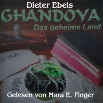 Ghandoy - Das geheime Land audiobook, Dieter Ebels