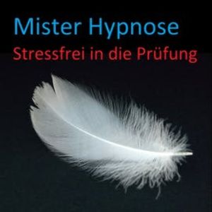 Stressfrei in die Prüfung, Effektiv Verlag
