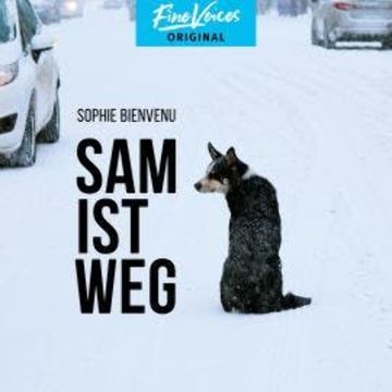Sam ist weg (Ungekürzt) audiobook, Sophie Bienvenu