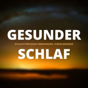 Gesunder Schlaf: Schlafstörungen überwinden, Stress dauerhaft besiegen audiobook, Patrick Lynen