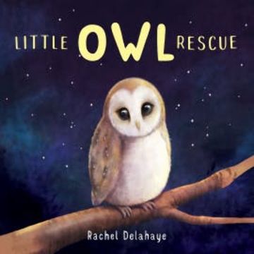Little Owl Rescue audiobook, Rachel Delahaye