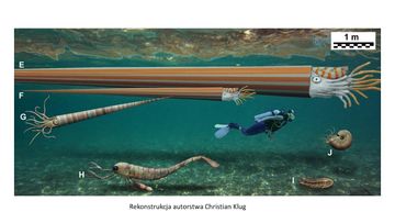 Największe wymarłe zwierzęta / dr Daniel Tyborowski audiobook, Wszechnica FWW