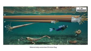 Największe wymarłe zwierzęta / dr Daniel Tyborowski, Wszechnica FWW