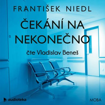 Čekání na nekonečno audiobook, František Niedl