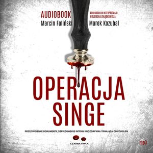 Operacja Singe, Marcin Faliński, Marek Kozubal