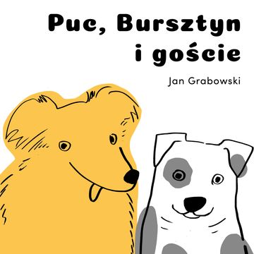 Puc, Bursztyn i goście audiobook, Jan Grabowski