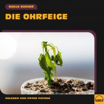 Die Ohrfeige audiobook, Nadja Bucher
