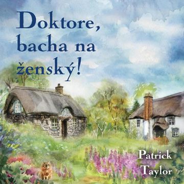 Doktore, bacha na ženský!, Patrick Taylor