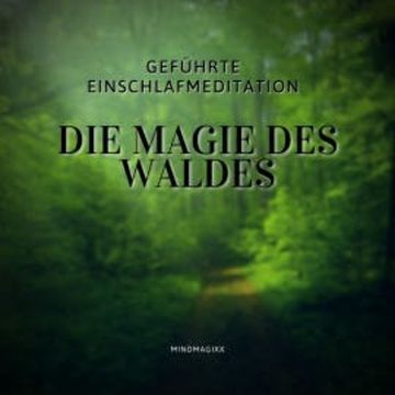 Geführte Einschlafmeditation / Einschlafhilfe / Hörbuch zum Einschlafen audiobook, Institut für gesundes Einschlafen