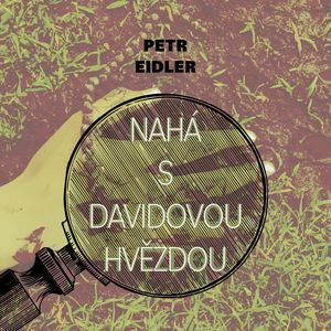 Nahá s Davidovou hvězdou, Petr Eidler