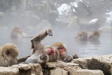 Vojtěch Lokša: O životě a cestování v Číně a Japonsku audiobook, Matouš Vinš