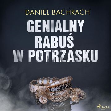 Genialny rabuś w potrzasku audiobook, Daniel Bachrach