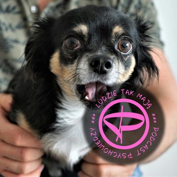 Pieskie życie audiobook, Przemek Mućko