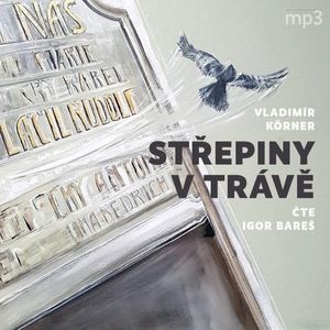Střepiny v trávě, Vladimír Körner