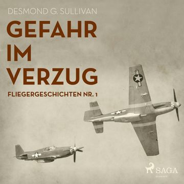 Gefahr im Verzug (Fliegergeschichten 1) audiobook, Desmond G. Sullivan