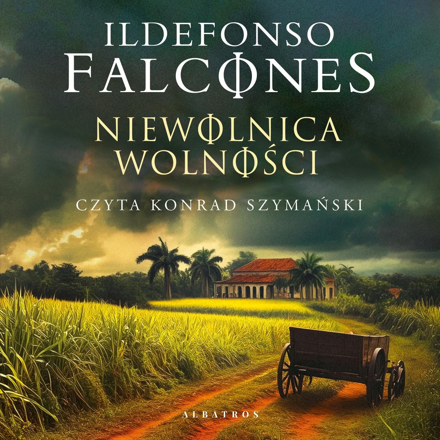 Książka Niewolnica wolności Ildefonso Falcones