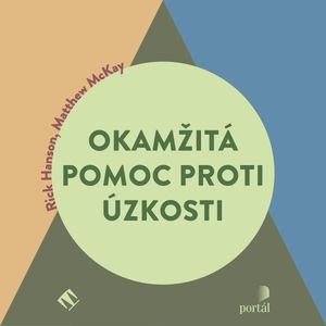 Okamžitá pomoc proti úzkosti, Matthew McKay, Rick Hanson