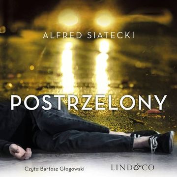Postrzelony. Daniel Jung. Tom 1 audiobook, Alfred Siatecki