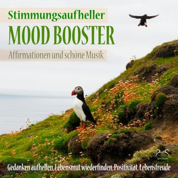 Mood Booster (Stimmungsaufheller) Affirmationen und schöne Musik - Gedanken aufhellen, Lebensmut wiederfinden - Positivität, Leb audiobook, Torsten Abrolat