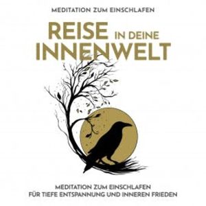 Reise in deine Innenwelt - Meditation zum Einschlafen, Raphael Kempermann