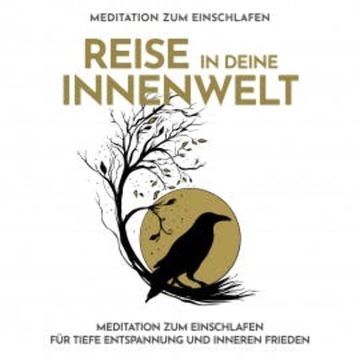 Reise in deine Innenwelt - Meditation zum Einschlafen audiobook, Raphael Kempermann