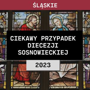 Śląskie: Rodzina, która się nie znała (2012) | Mateusz B. i Robert Sz., Aleksandra Orłowska