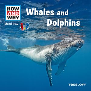 Whales And Dolphins, Dr. Manfred Baur