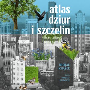 Atlas dziur i szczelin, Michał Książek