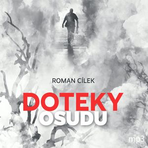 Doteky osudu, Roman Cílek
