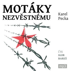 Motáky nezvěstnému, Karel Pecka