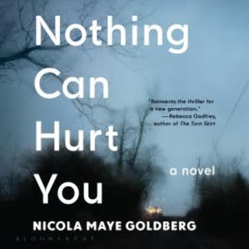 Nothing Can Hurt You audiobook, Nicola Maye Goldberg