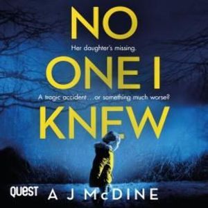 No One I Knew, A J McDine