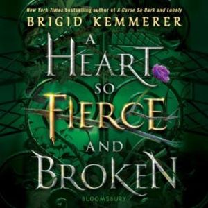 A Heart So Fierce and Broken, Brigid Kemmerer
