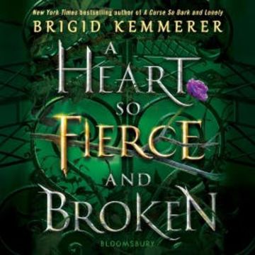 A Heart So Fierce and Broken audiobook, Brigid Kemmerer