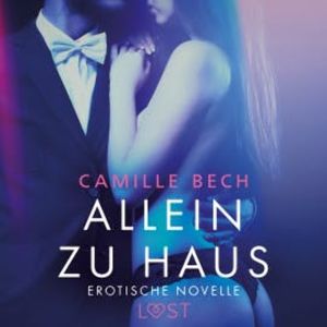 Allein zu Haus - Erotische Novelle, Camille Bech